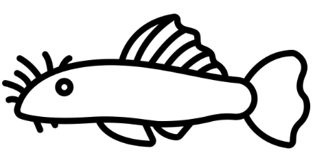 il pescione